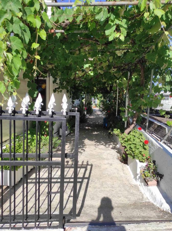 Angela Studios Kassiopi Exterior photo