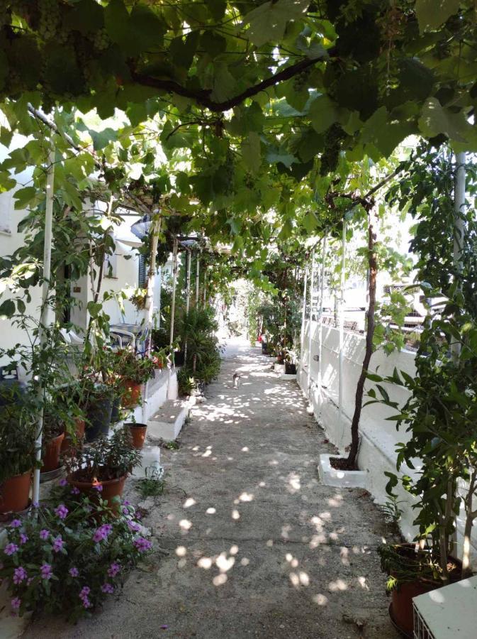 Angela Studios Kassiopi Exterior photo